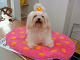 DSCF9719[1]_thumb.png